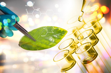 依诺基科A轮融了1.5亿元，专注绿色生物技术