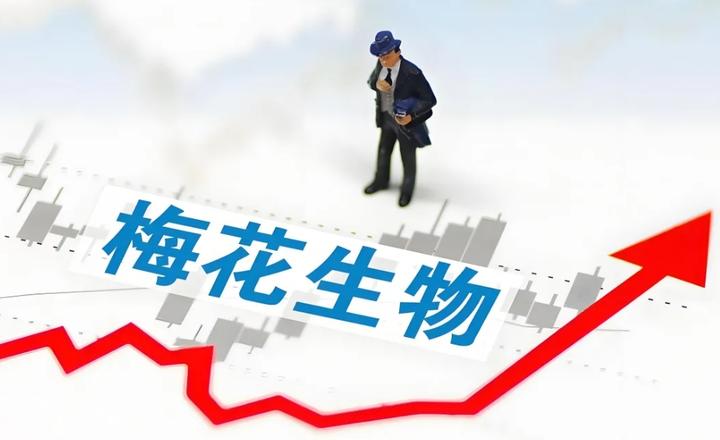 联合私募操纵梅花生物股票，76岁河北富豪被公诉