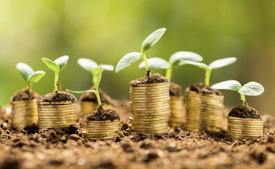 超140亿，史上最大种子轮要来了