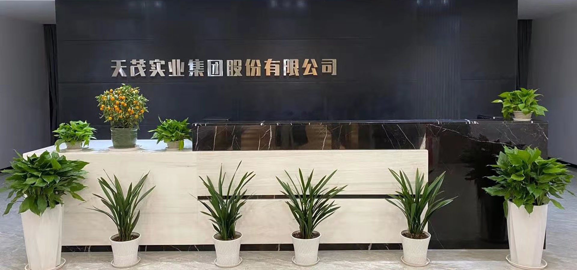 天茂集团年报难产背后的多重绞杀：财务黑洞、治理困局