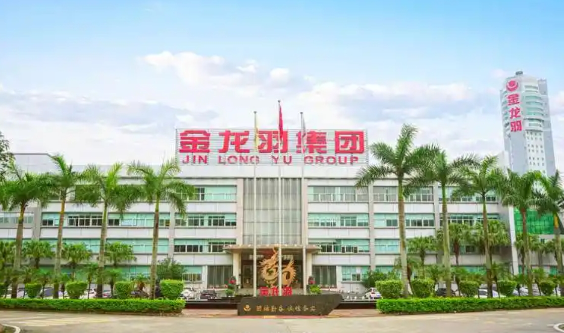 百亿金龙羽涉嫌信披违规，新董秘上任才8天！