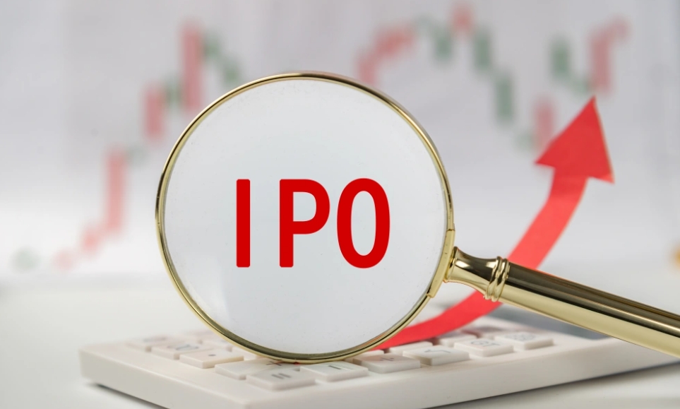 年入119亿！又一龙头，要赴港IPO