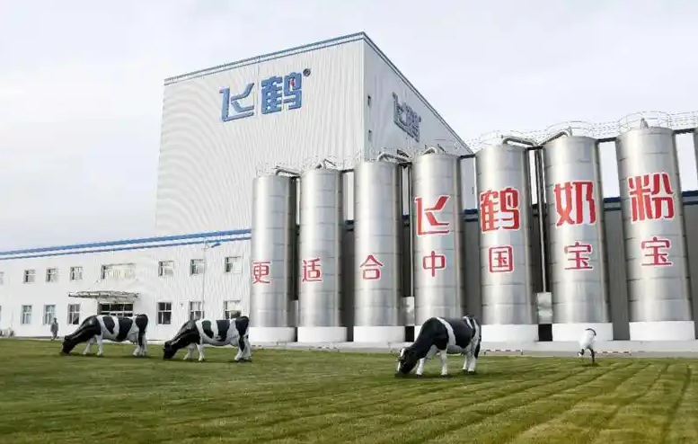 中國飛鶴生死局：業績大跌，股價萎靡，分紅能否挽回信心？