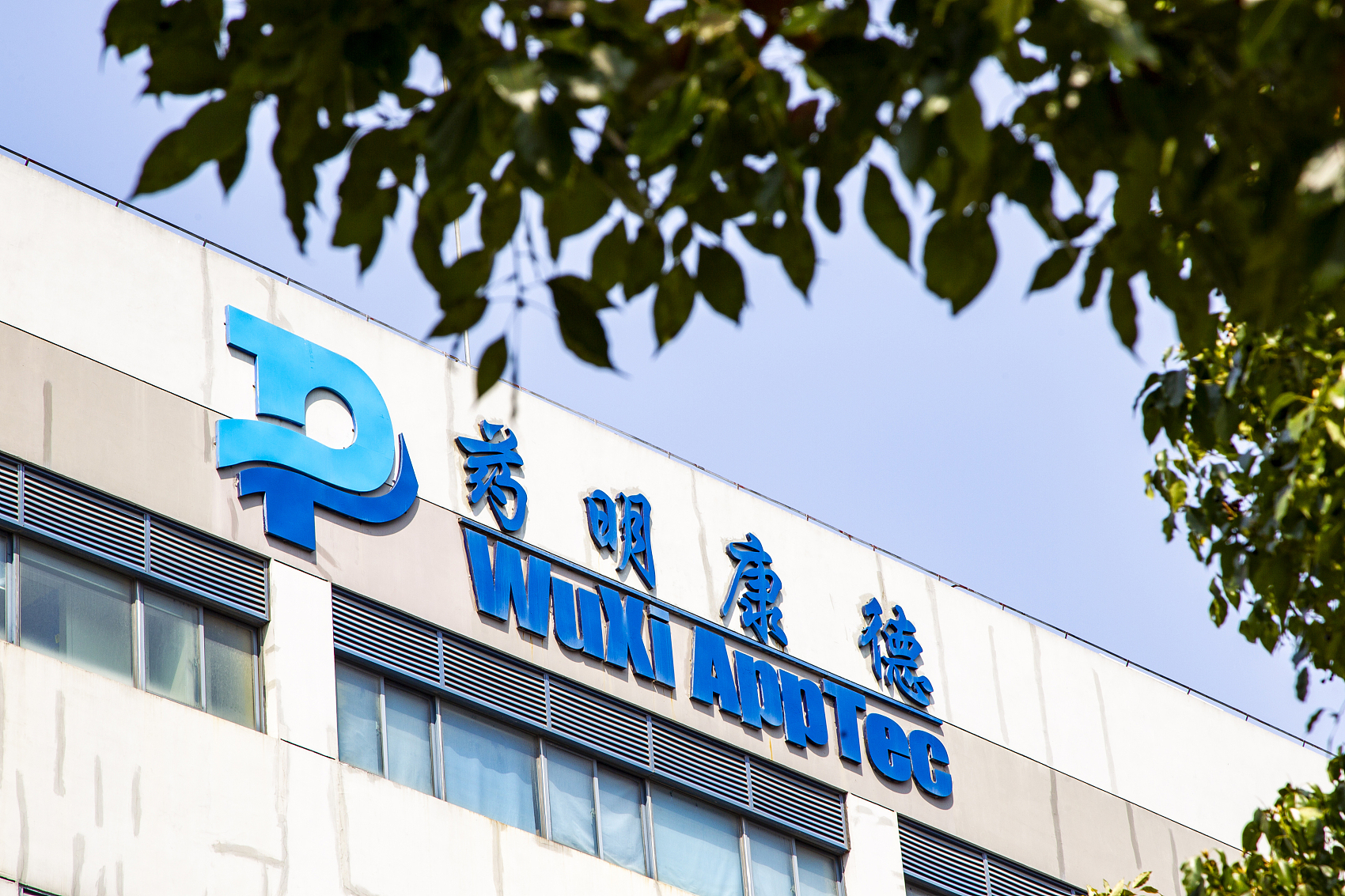 利润大增，单季营收破百亿，药明康德已经成为全球创新药链条上的关键企业