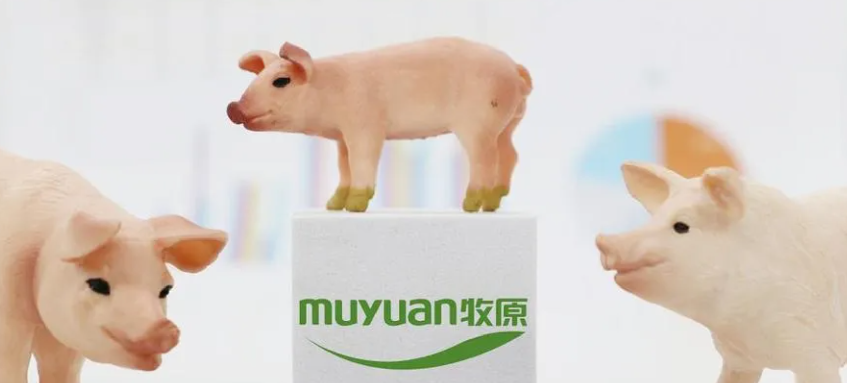 牧原股份的“冰与火”：暴增1100%利润vs千亿负债，赴港上市能否“破局”？