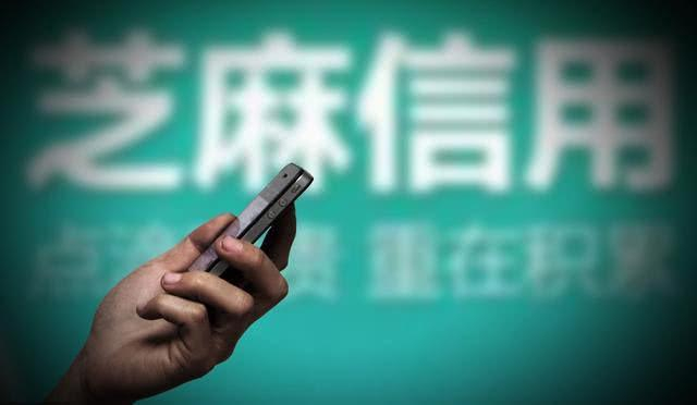 芝麻企业信用“实力标”升级：联合11家平台推出“绿通服务”，每年最高可省上万元