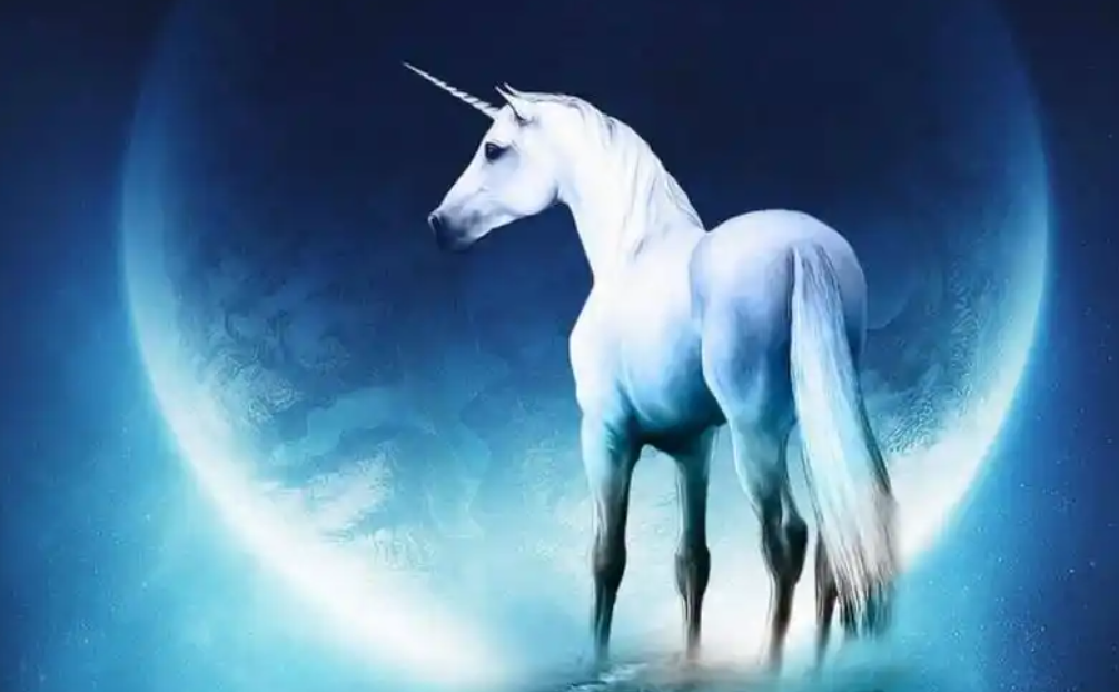 今年,想投独角兽,VC也得“走后门”