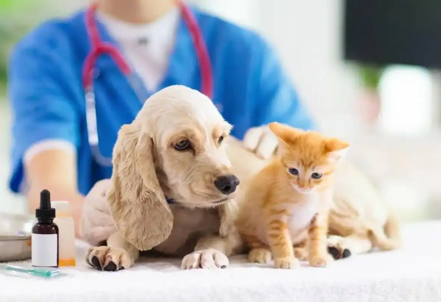 商汤国香资本领投,星联未来SATELLAI完成数千万元A轮融资