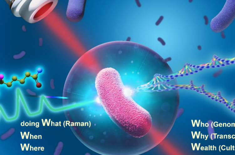 活体单细胞代谢功能分析分选解决方案提供商星赛生物完成近亿元人民币新一轮融资
