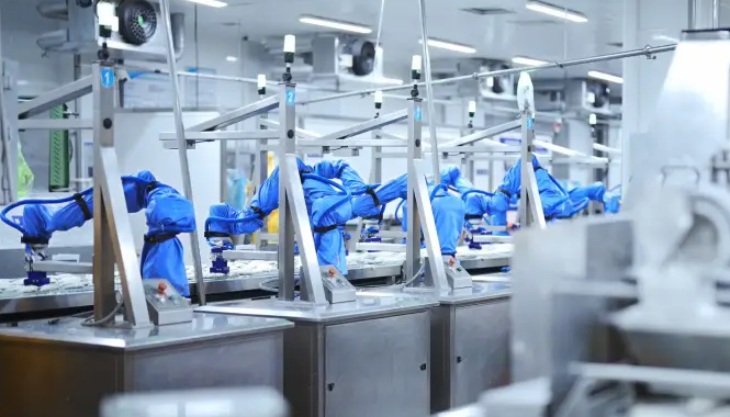 专注食品加工AI机器人解决方案，希夕智能完成数千万元天使轮融资