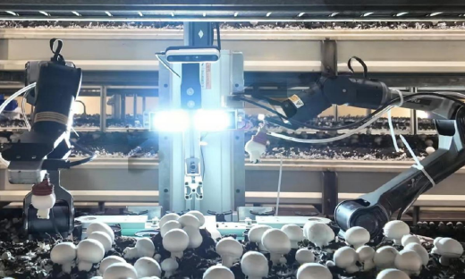 推动“农业具身智能”落地全球,禾芯动力完成数千万元天使轮融资