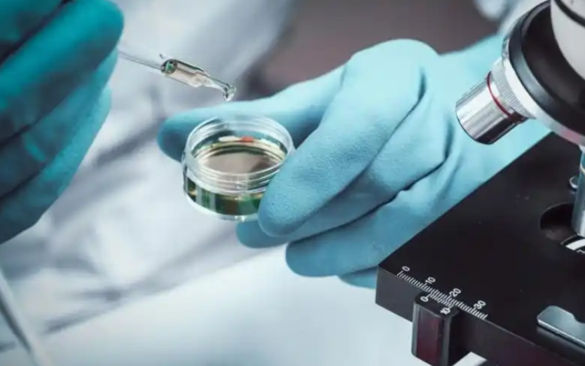 加速AI驱动iPSC细胞治疗与类器官平台升级，艾凯生物完成超亿元A3轮融资