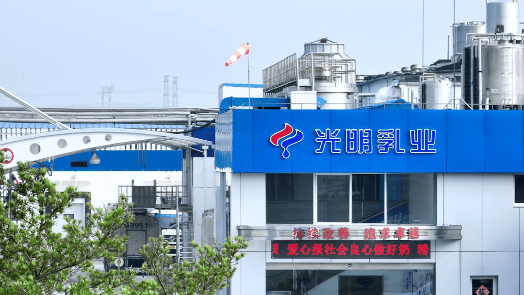 【财报透视】光明乳业十余年来最冷财报：现金流、毛利率均下滑，海外扩张遇阻