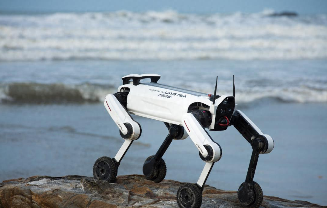 大疆系具身公司“璇玑动力”半年内再获数亿融资