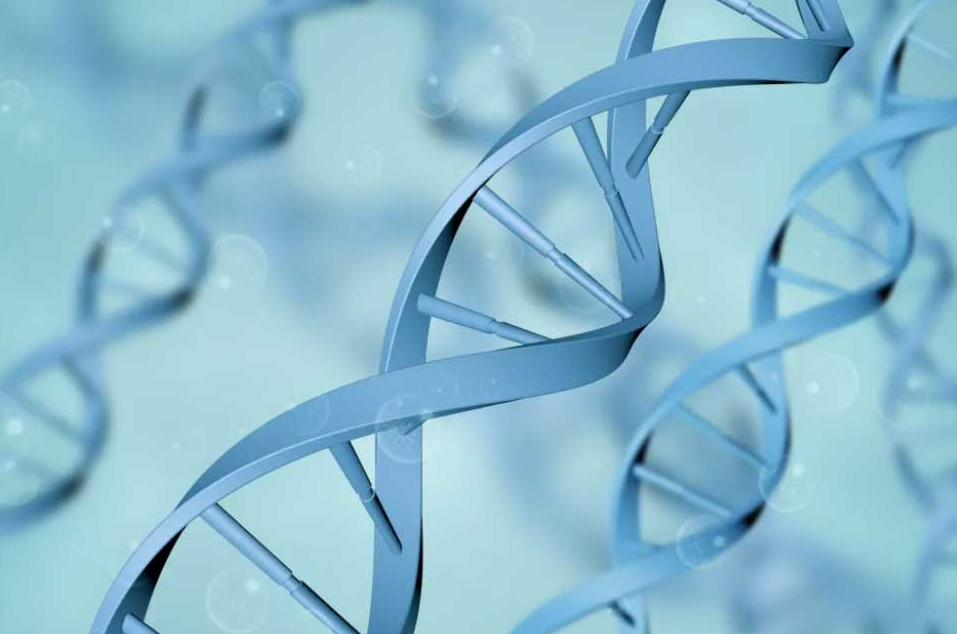 AI原生Biotech企业宇道生物完成数千万美元C1轮融资